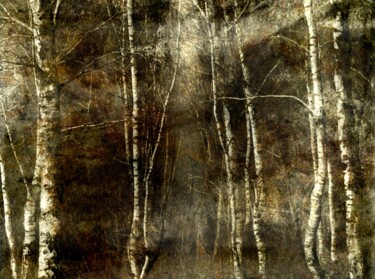 Photography titled "Automne...." by Philippe Berthier, Original Artwork, Digital Photography