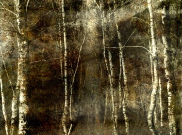 Photographie intitulée "Automne...." par Philippe Berthier, Œuvre d'art originale, Photographie numérique