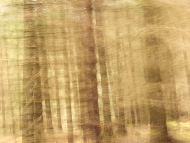 Photography titled "Tremblement........…" by Philippe Berthier, Original Artwork, Digital Photography
