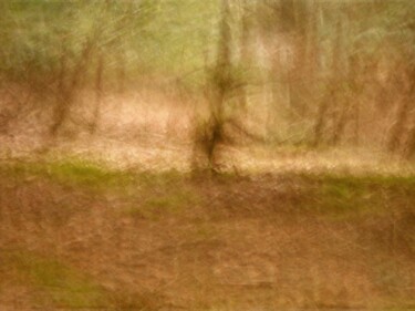 Fotografia intitulada "Histoire d'arbres..…" por Philippe Berthier, Obras de arte originais, Fotografia digital