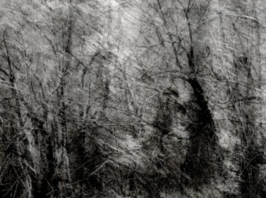 Photography titled "Contre-Défragmentat…" by Philippe Berthier, Original Artwork, Manipulated Photography