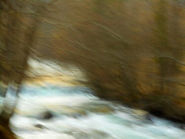 Photographie intitulée "La Connexion Nature…" par Philippe Berthier, Œuvre d'art originale, Photographie numérique