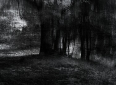摄影 标题为“the black forest...…” 由Philippe Berthier, 原创艺术品, 数码摄影