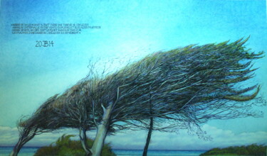 Zeichnungen mit dem Titel "" l'arbre froissé "" von Philippe Brobeck, Original-Kunstwerk, Bleistift
