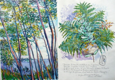 Peinture intitulée "" Les pins et le bo…" par Philippe Brobeck, Œuvre d'art originale, Aquarelle