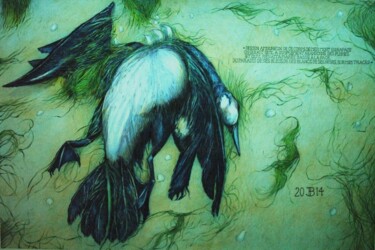 Dessin intitulée "le cormoran mort" par Philippe Brobeck, Œuvre d'art originale, Crayon