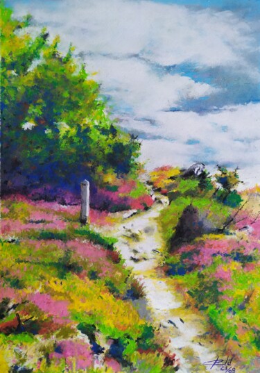 Dessin intitulée "Sentier de l'ânebra…" par Philippe Ernauld, Œuvre d'art originale, Pastel