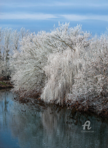 Photography titled "givre.jpg" by Philippe Nannetti, Original Artwork