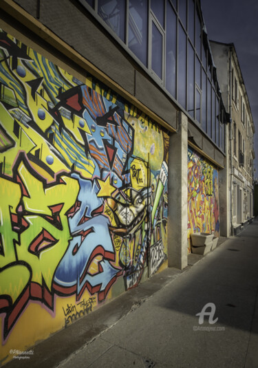 Photographie intitulée "graf blois vienne.j…" par Philippe Nannetti, Œuvre d'art originale