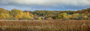 Photography titled "le-charmeteau-1-sur…" by Philippe Nannetti, Original Artwork