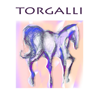 Drawing titled "DESSIN CHEVAL" by Philippe Graillot (TORGALLI), Original Artwork, Digital Painting