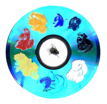 Arts numériques intitulée "La mouche à couleur…" par Philippe Renou, Œuvre d'art originale, Photo montage