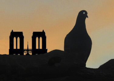 Digital Arts titled "La Dame pigeonne -…" by Philippe Renou, Original Artwork, Photo Montage