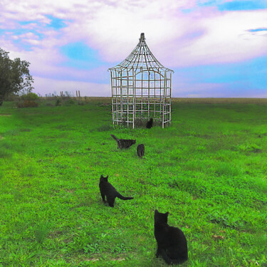 Fotografia zatytułowany „LES ENVAHISSEURS !…” autorstwa Philippe Renou, Oryginalna praca, Fotografia cyfrowa