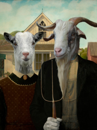 Photography titled "AMERICAN GOAT IC" by Philippe Tyberghien, Original Artwork