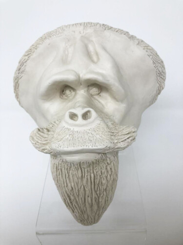 Sculpture titled "ORAN-OUTAN" by Philippe Vanseghbroeck, Original Artwork, Clay