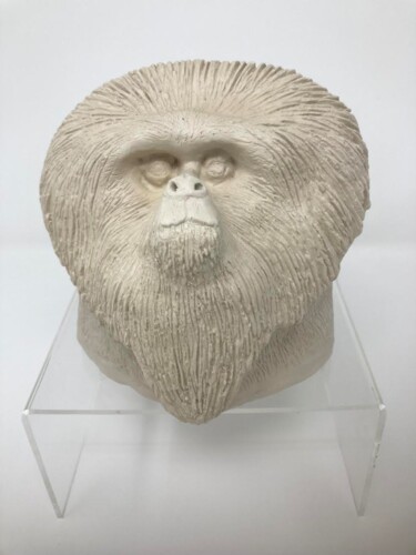 Escultura titulada "TAMARIN LION" por Philippe Vanseghbroeck, Obra de arte original, Arcilla
