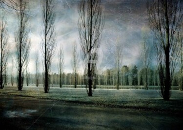 Φωτογραφία με τίτλο "Parc de Seaux" από Philippe Bousseau, Αυθεντικά έργα τέχνης, Ψηφιακή φωτογραφία