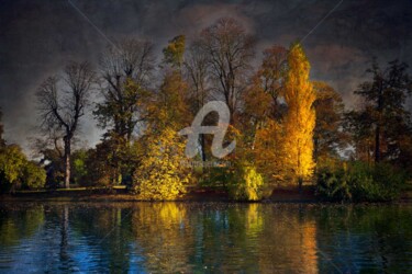 Photographie intitulée "Bois de Boulogne" par Philippe Bousseau, Œuvre d'art originale, Photographie numérique