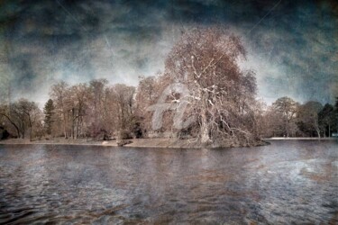 Fotografie getiteld "Lac du Bois de Boul…" door Philippe Bousseau, Origineel Kunstwerk, Digitale fotografie