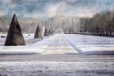 Fotografia zatytułowany „Parc de Seaux” autorstwa Philippe Bousseau, Oryginalna praca, Fotografia cyfrowa