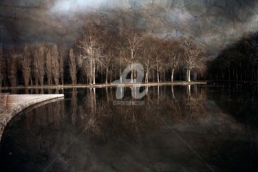 Φωτογραφία με τίτλο "Plan d'eau du Parc…" από Philippe Bousseau, Αυθεντικά έργα τέχνης, Ψηφιακή φωτογραφία