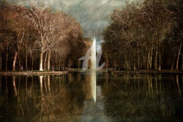 Photography titled "Plan d'eau du Parc…" by Philippe Bousseau, Original Artwork, Digital Photography