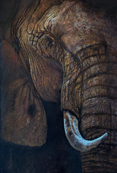 Drawing titled "Éléphant triste" by Philippe Petit, Original Artwork, Pastel Mounted on Other rigid panel
