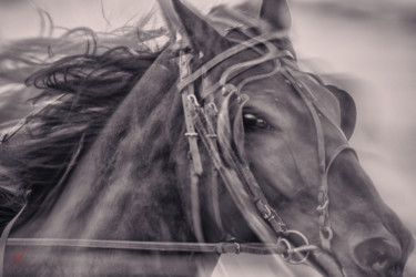 Fotografie getiteld "Trotteur en course…" door Philippe Loze, Origineel Kunstwerk, Digitale fotografie