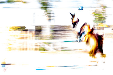 Фотография под названием "jump (3)" - Philippe Loze, Подлинное произведение искусства, Цифровая фотография