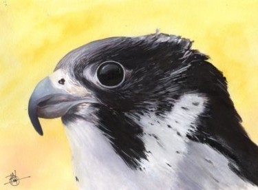 Peinture intitulée "oiseau de proie.jpg" par Philippe Parisot, Œuvre d'art originale