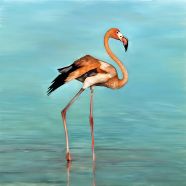 Artes digitais intitulada "Flamingo" por Michele Poenicia, Obras de arte originais, Pintura digital