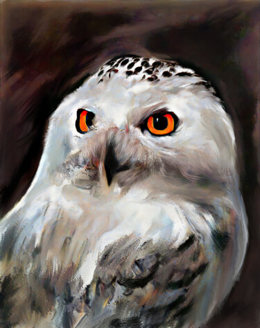 Digitale Kunst mit dem Titel "Owl" von Michele Poenicia, Original-Kunstwerk, Digitale Malerei