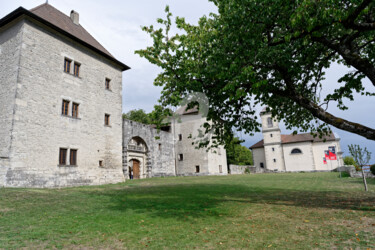 Fotografia zatytułowany „La nouvelle façade” autorstwa Alain Romeas (PhotoAR), Oryginalna praca, Fotografia cyfrowa