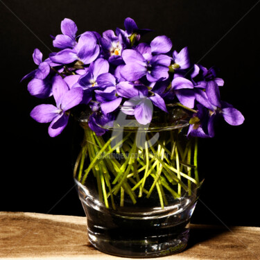Photography titled "Bunch of violets (b…" by Alain Romeas (PhotoAR), Original Artwork, Digital Photography
