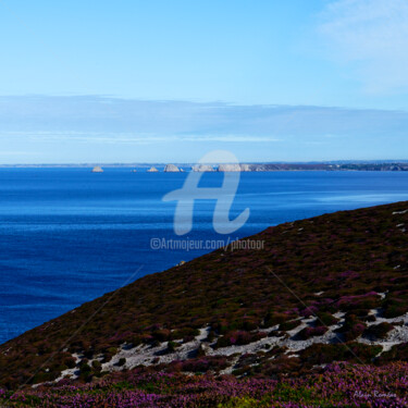 Photography titled "Blue & Mauve (bleu…" by Alain Romeas (PhotoAR), Original Artwork, Digital Photography