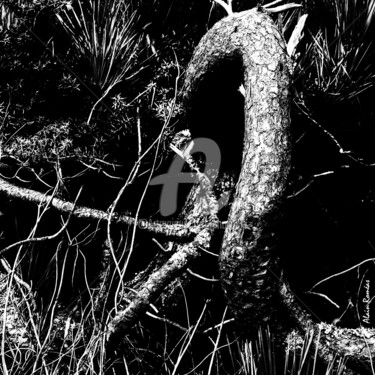 Fotografia intitulada "Knots (noeuds)" por Alain Romeas (PhotoAR), Obras de arte originais, Fotografia digital