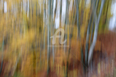 Photographie intitulée "Couleurs d'automne…" par Alain Romeas (PhotoAR), Œuvre d'art originale, Photographie numérique