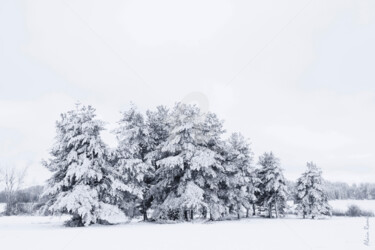 Fotografia zatytułowany „The white of the sn…” autorstwa Alain Romeas (PhotoAR), Oryginalna praca, Fotografia cyfrowa