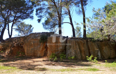 Fotografia intitolato "Nature sauvage... P…" da Josiane Karanian Boularot, Opera d'arte originale