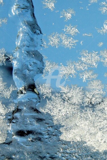 Photography titled "Fleurs  de givre" by Josiane Karanian Boularot, Original Artwork