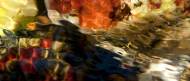 Photographie intitulée "Fonds Coralline" par Jean Christophe Arnaud, Œuvre d'art originale, Photographie non manipulée Monté…