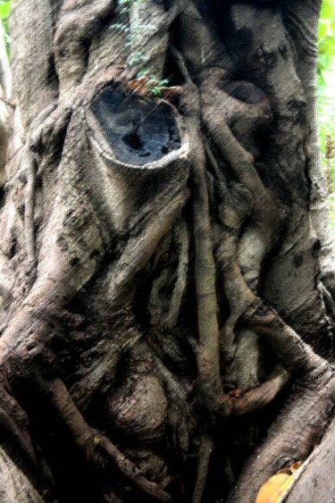 Photographie intitulée "arbre 8" par Harireche "Harimoart" Hari Mo Art, Œuvre d'art originale, Autre