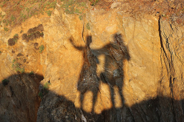 Photographie intitulée "02-sur-les-falaises…" par Michel Hervo, Œuvre d'art originale