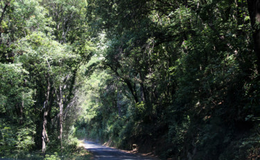 Photographie intitulée "52-sur-la-route-du-…" par Michel Hervo, Œuvre d'art originale