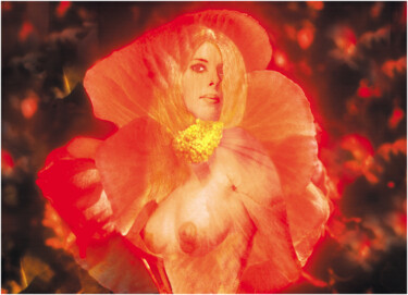 Photographie intitulée "Pensée à fleur de p…" par Michel Hervo, Œuvre d'art originale, Photographie argentique