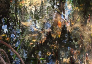 Photographie intitulée "Mangrove n°18" par Michel Hervo, Œuvre d'art originale