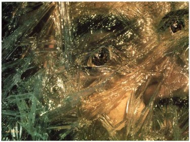 Photographie intitulée "Figé dans les glaces" par Michel Hervo, Œuvre d'art originale