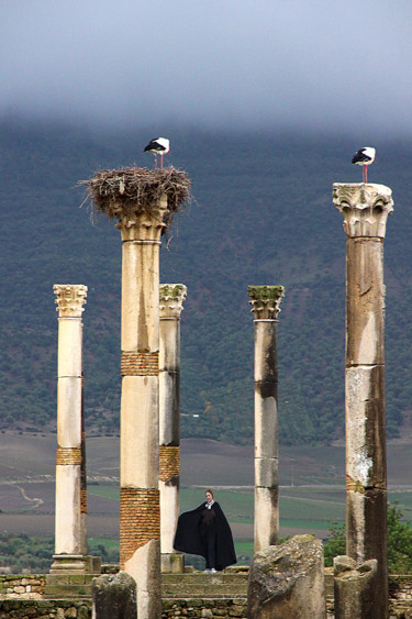 Photographie intitulée "c-01-volubilis.jpg" par Michel Hervo, Œuvre d'art originale