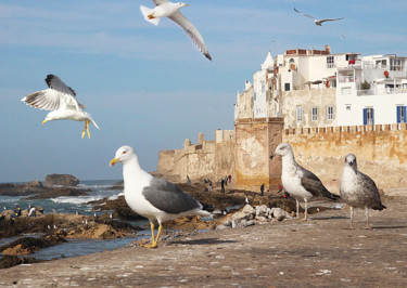 Photographie intitulée "f-08-port-d-essaoui…" par Michel Hervo, Œuvre d'art originale